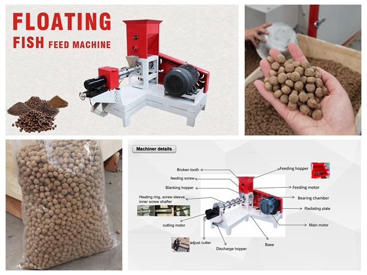 Ethiopia pet feed machine